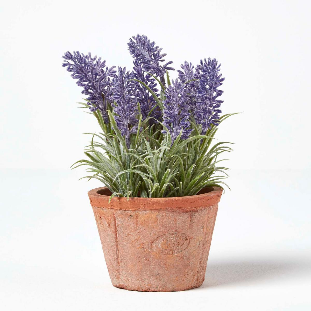 KUNSTPFLANZE Lavendel im Terrakotta-Topf, 20 cm - Lila, Kunststoff (20cm) - Homescapes