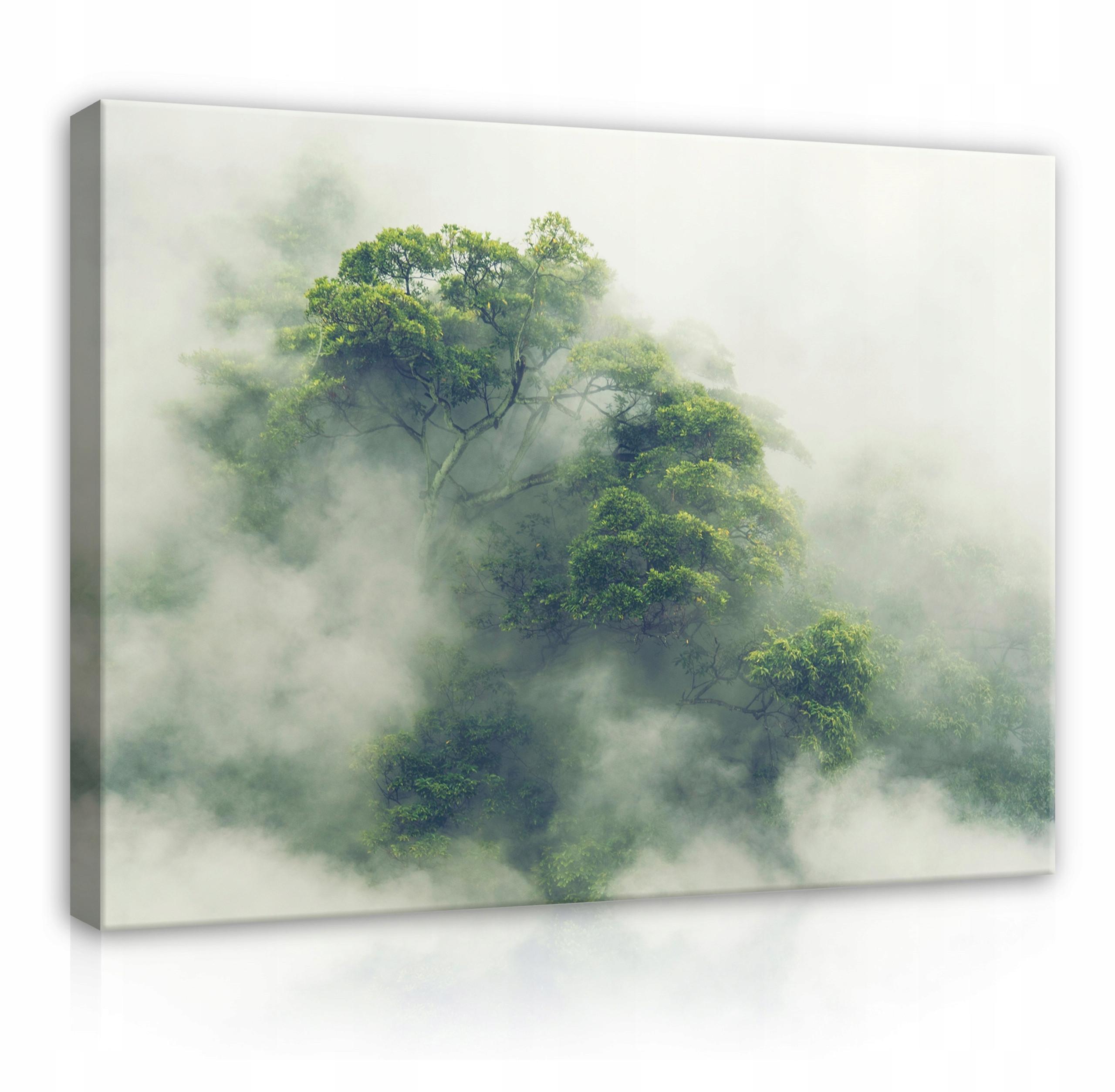 LEINWANDBILDER Wald im Nebel Natur 60x40 - Multicolor, Holzwerkstoff (60/40cm) - Wallarena