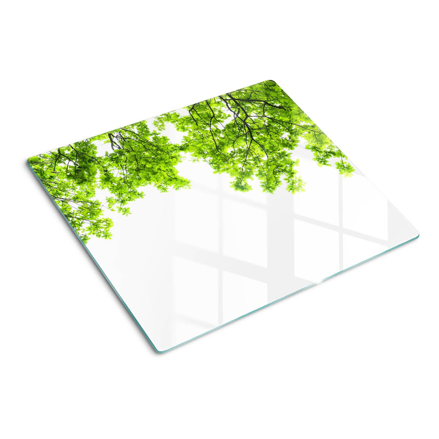 GLASPLATTE 60x52 cm Eichenblätter - Grün, Glas (60/0.4/52cm) - TULUP