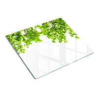 GLASPLATTE 60x52 cm Eichenblätter - Grün, Glas (60/0.4/52cm) - TULUP