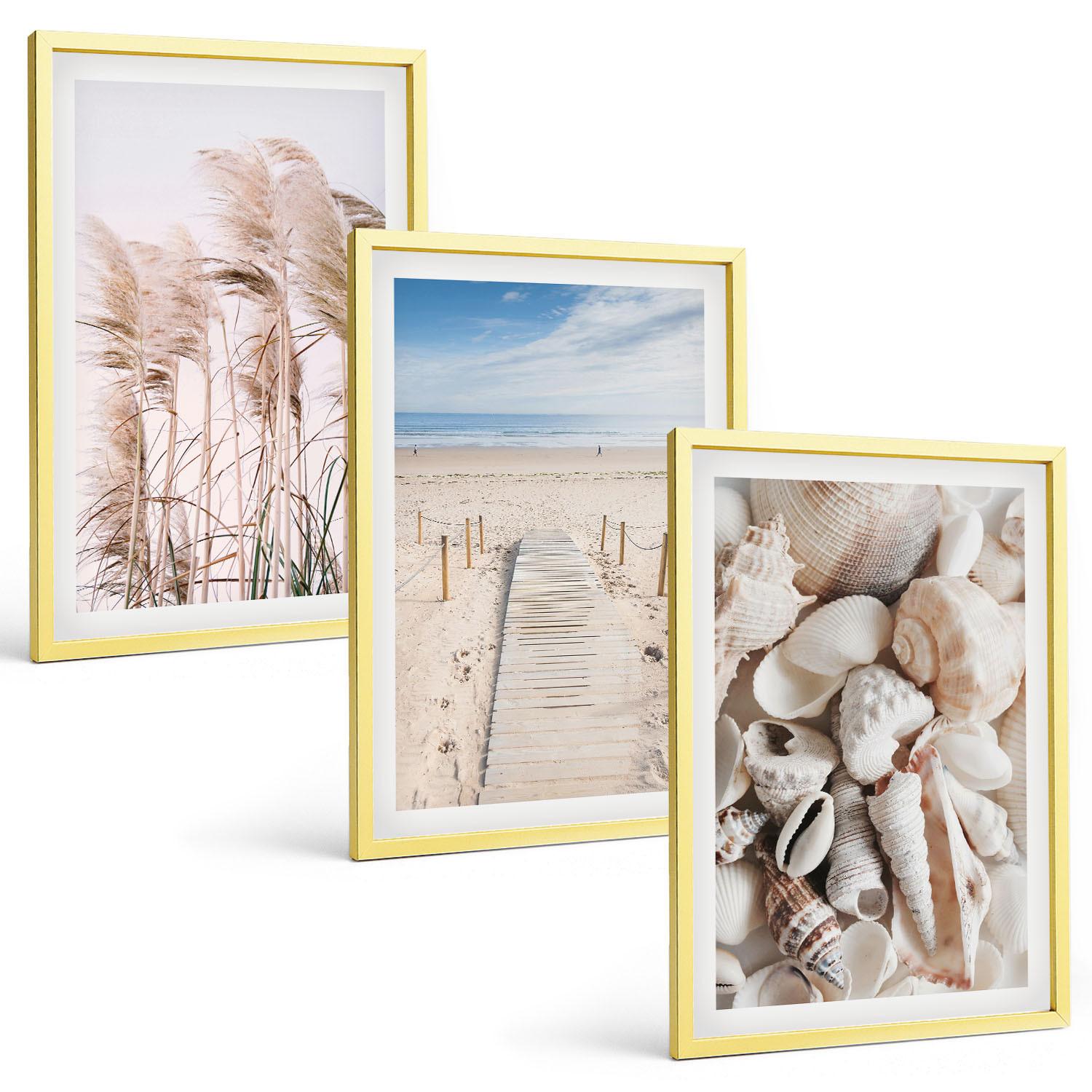 BILDER SET 3er Set - 40x60 cm Goldrahmen - Strandmuscheln Seegras - Goldfarben, Kunststoff (40/60cm) - TULUP