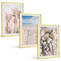 BILDER SET 3er Set - 40x60 cm Goldrahmen - Strandmuscheln Seegras - Goldfarben, Kunststoff (40/60cm) - TULUP