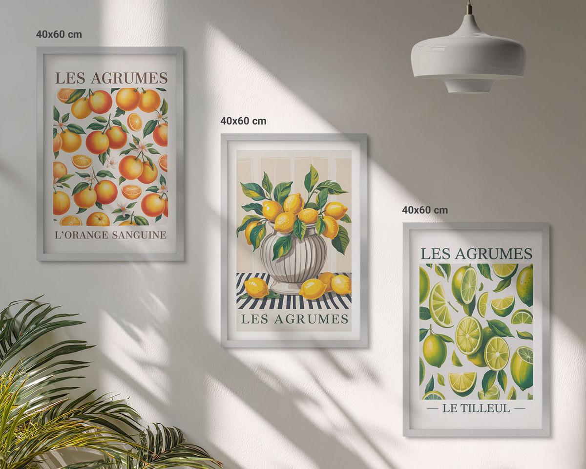 BILDER SET 3er Set - 40x60 cm Silberner Rahmen - Zitrusfrüchte in farbenfrohen Varianten - Silberfarben, Kunststoff (40/60cm) - TULUP