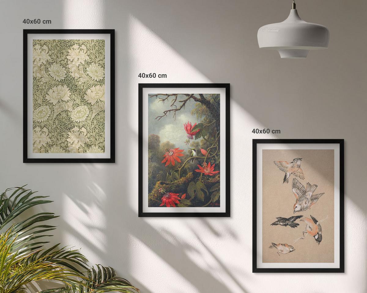 BILDER SET 3er Set - 40x60 cm Schwarzer Rahmen - Blumen, Vögel, Natur - Schwarz, Kunststoff (40/60cm) - TULUP