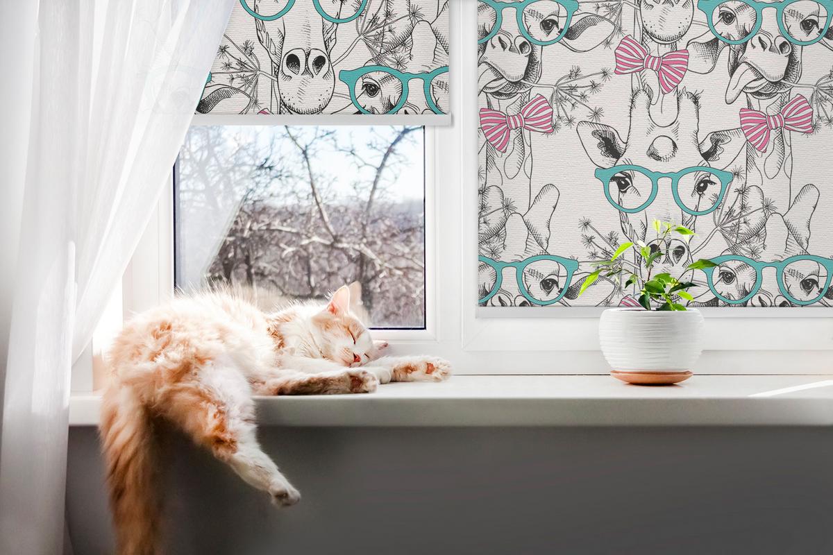 INNENROLLO - Fensterrollo - Rollo - 70x140 cm - Giraffe mit Brille - Grau, Kunststoff (70/140/0.5cm) - TULUP