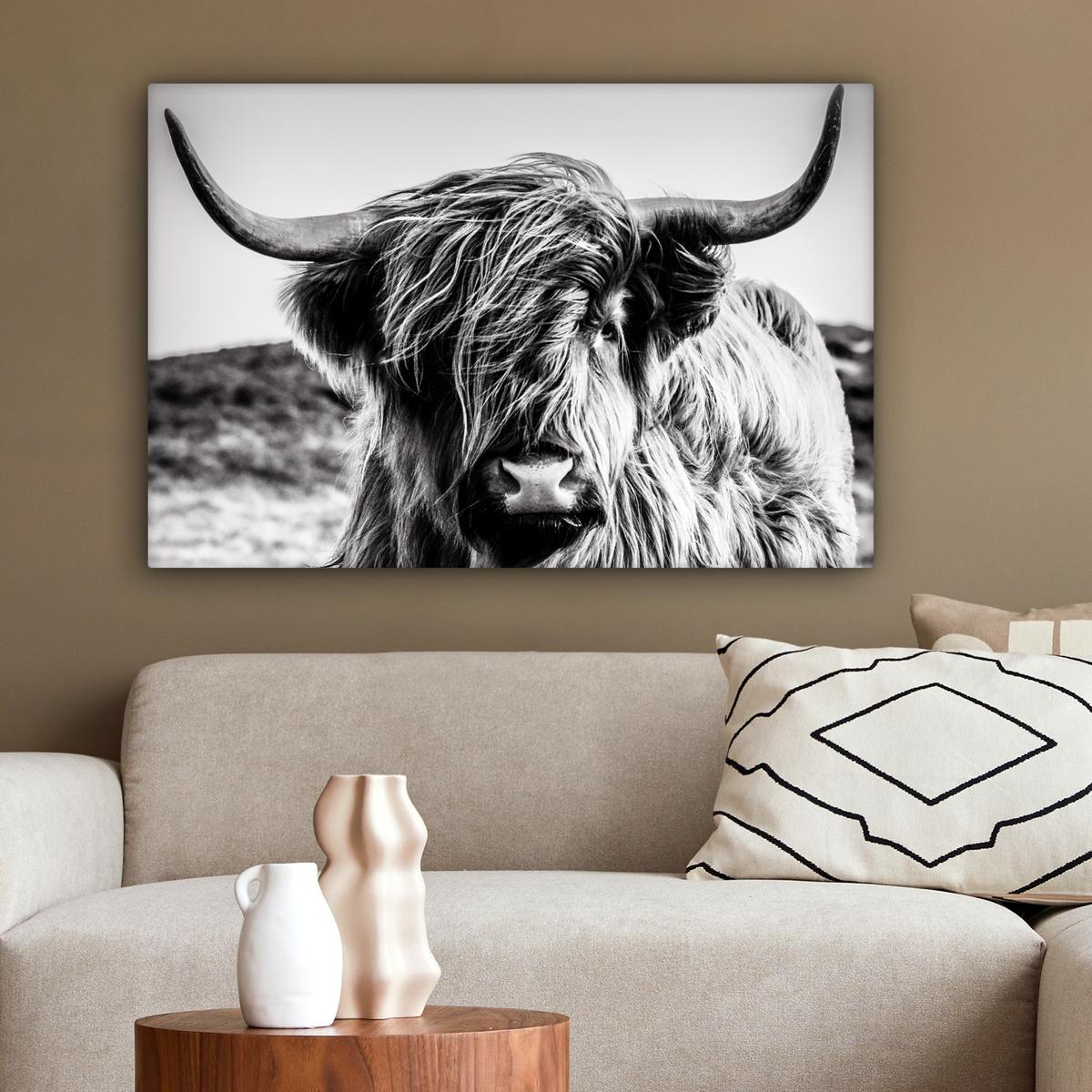LEINWANDBILD Kuh - Schottischer Hochländer - Schwarz - Weiß - Tier - Natur - Wildtiere Gemälde 60x40 cm - Schwarz, Textil (60/40cm) - MuchoWow