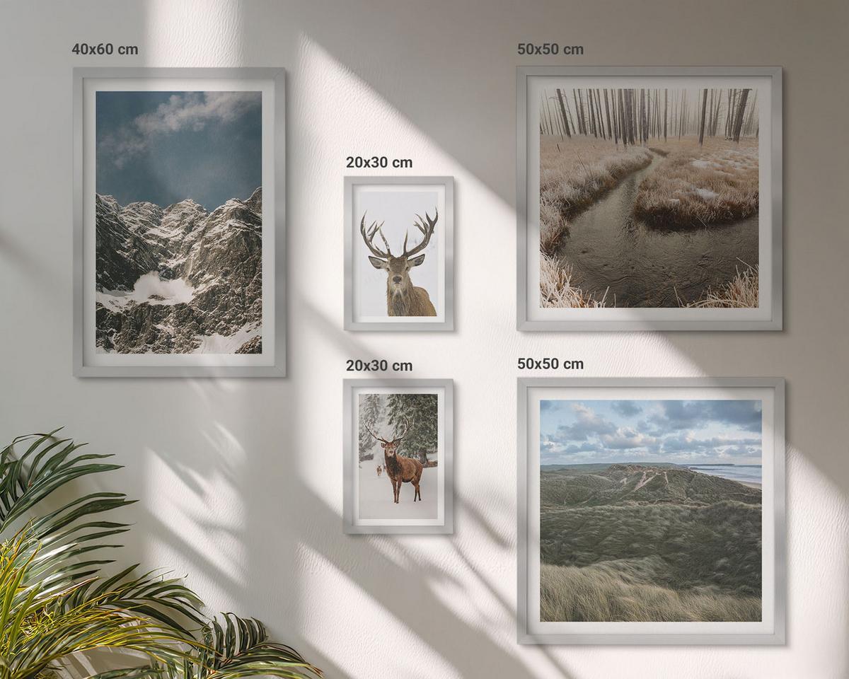 BILDER SET 5er Set - 50x50 cm & 20x30 cm & 40x60 cm Silberner Rahmen - Berge, Schnee, Hirsche, Waldlandschaft - Silberfarben, Kunststoff (40/60cm) - TULUP