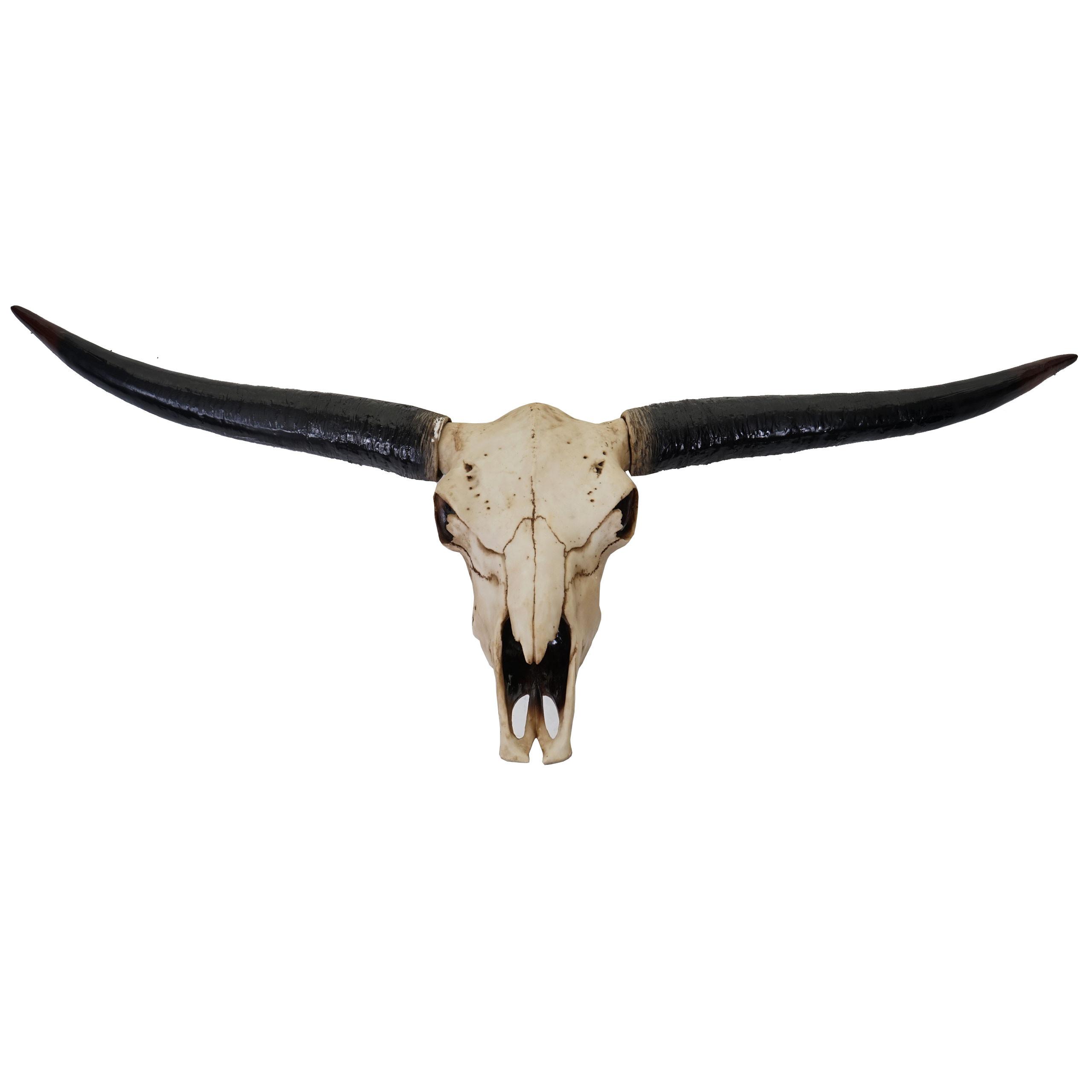 DEKO SCHÄDEL STIER Beige, Schwarz - Beige/Schwarz, Stein (132/56/15cm) - MCW