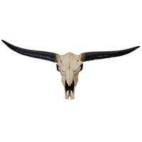 DEKO SCHÄDEL STIER Beige, Schwarz - Beige/Schwarz, Stein (132/56/15cm) - MCW