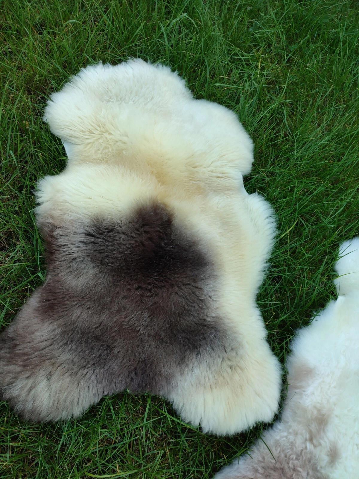 LAMMFELL Natur Schaffell hell gefleckt langhaar ca. 105 cm - Creme/Weiß, Fell (60/105cm) - Provellus