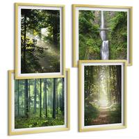 BILDER SET 4er Set - 50x50 cm & 40x60 cm Goldrahmen - Grüne Wälder, Lichtstrahlen - Goldfarben, Kunststoff (50/50cm) - TULUP