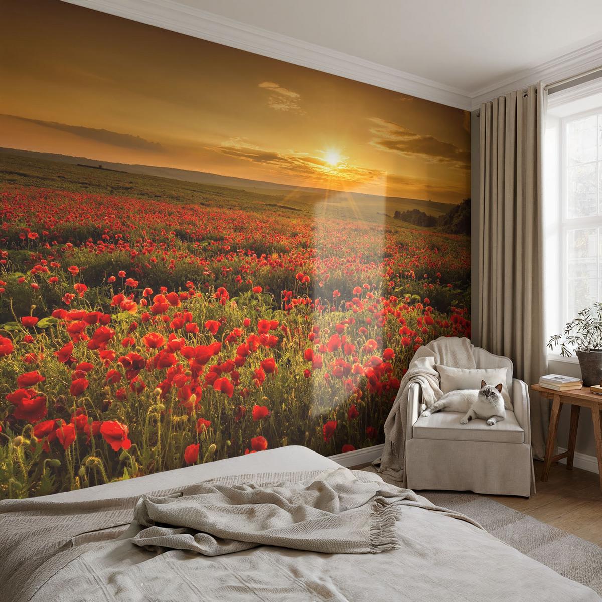 FOTOTAPETE 416x254 cm - Mohnfeld - Rot, Textil (416/254cm) - Wallfluent