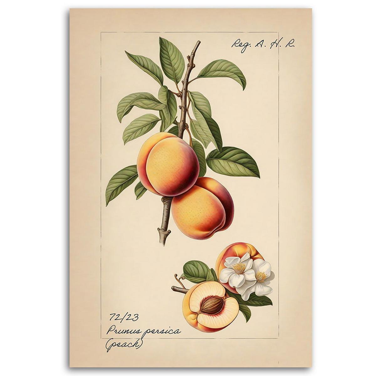KUNSTDRUCK Beige 40/60 cm - Beige, Textil (40/60cm) - KUNSTLOFT