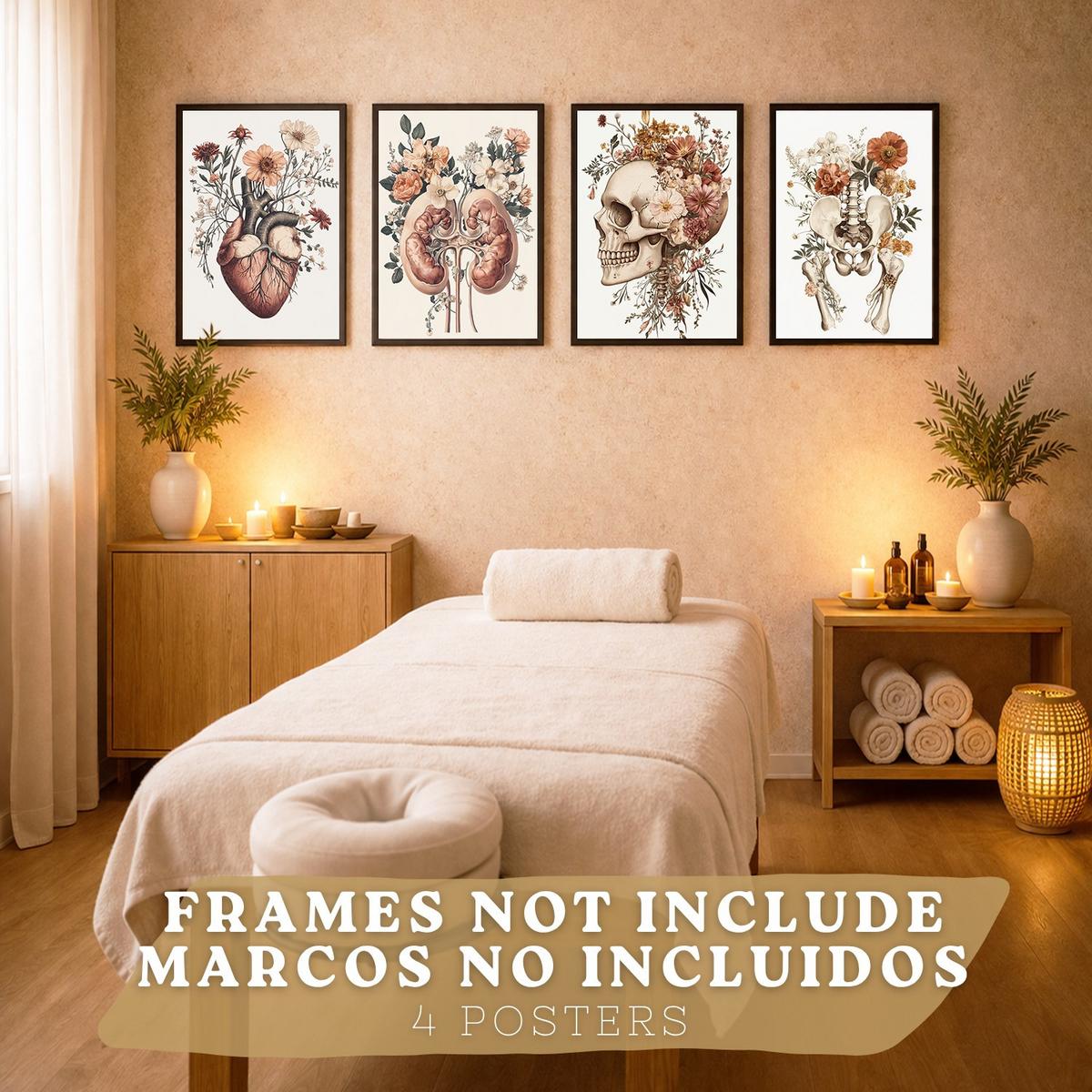 POSTER Set aus 4 Anatomie Drucke und Wandbilder mit Herz Nieren Schädel und Becken Botanischer Stil Medizinische Wanddekoration Größe Rahmenlos A3 - Klar, Papier (29.7/42/3cm) - Nacnic