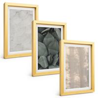 BILDER SET 3er Set - 20x30 cm Goldrahmen - Sommerliche tropische Texturen - Goldfarben, Kunststoff (20/30cm) - TULUP