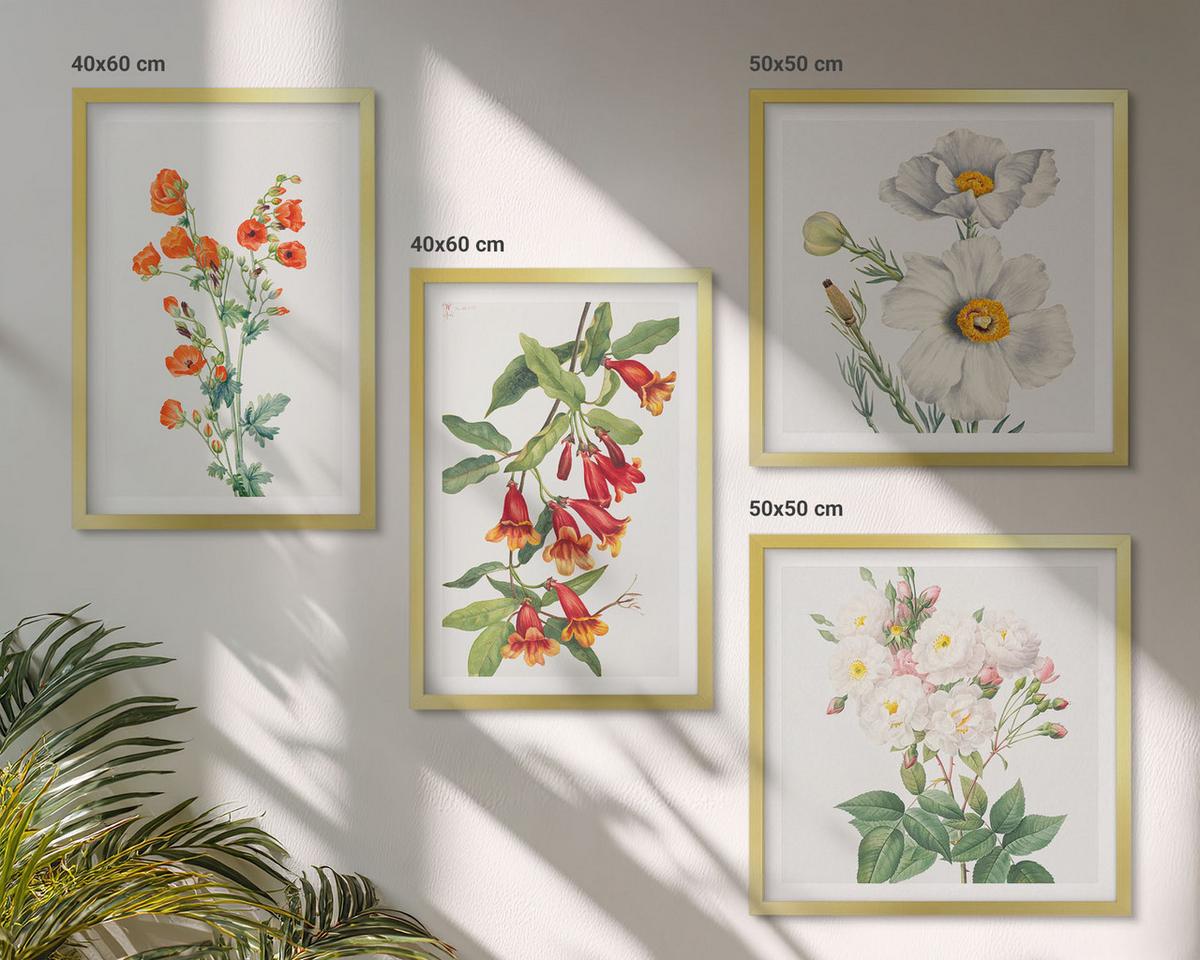 BILDER SET 4er Set - 50x50 cm & 40x60 cm Goldrahmen - Retro-Blumenmalerei - Goldfarben, Kunststoff (50/50cm) - TULUP