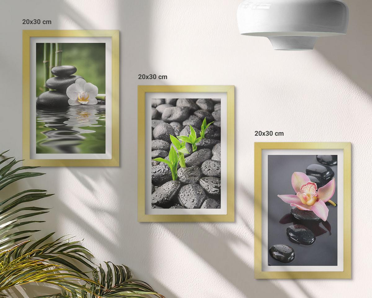 BILDER SET 3er Set - 20x30 cm Goldrahmen - Eine ruhige Zen-Komposition aus Blumen und Wasser - Goldfarben, Kunststoff (20/30cm) - TULUP