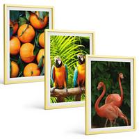 BILDER SET 3er Set - 40x60 cm Goldrahmen - Fruchtige Akzente in den Tropen - Goldfarben, Kunststoff (40/60cm) - TULUP