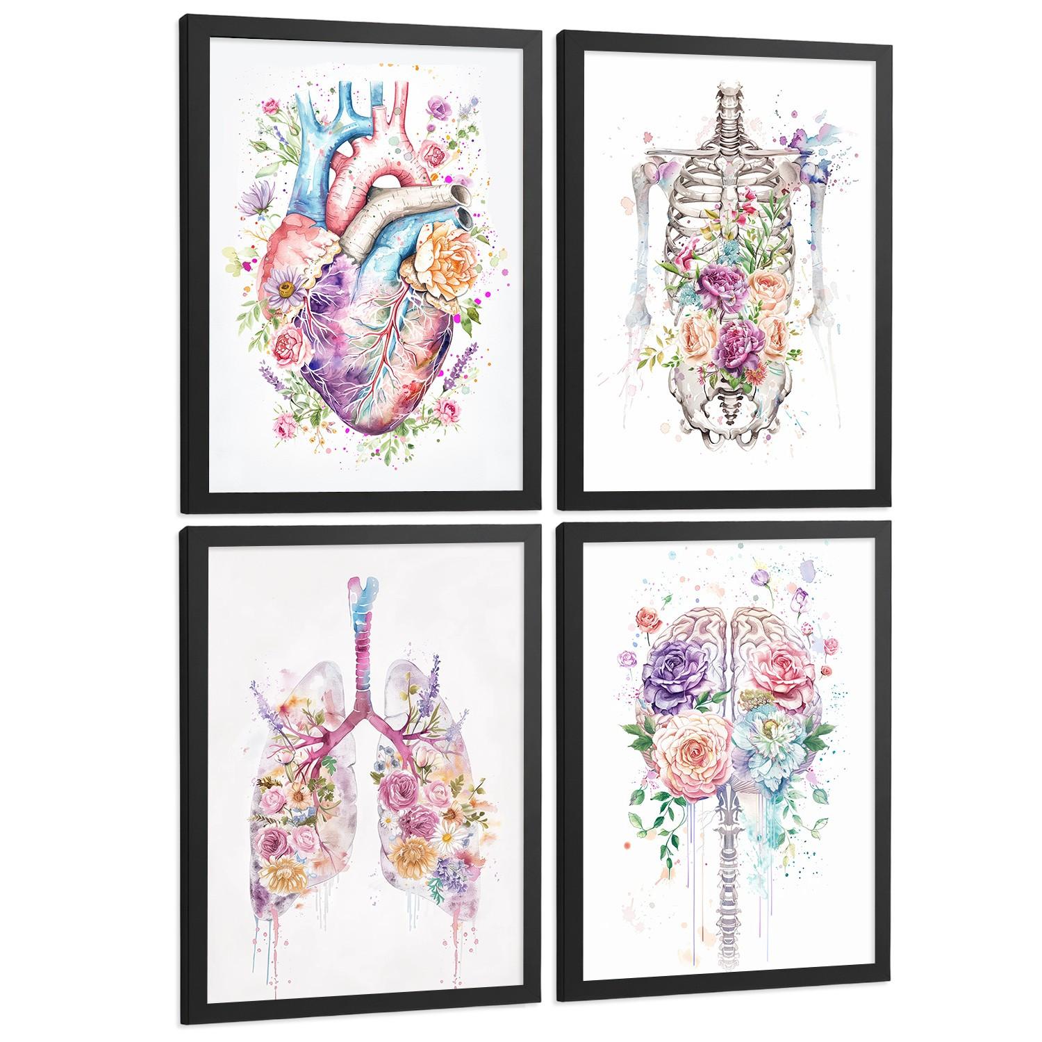 POSTER Set aus 4 Anatomie Mensch Drucke und mit Herz Gehirn Lungen Luftröhre Bronchien Wirbelsäule Florales Aquarell Design Größe Schwarzer Rahmen A4 - Schwarz, Papier (21/29.7/3cm) - Nacnic