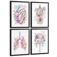 POSTER Set aus 4 Anatomie Mensch Drucke und mit Herz Gehirn Lungen Luftröhre Bronchien Wirbelsäule Florales Aquarell Design Größe Schwarzer Rahmen A4 - Schwarz, Papier (21/29.7/3cm) - Nacnic
