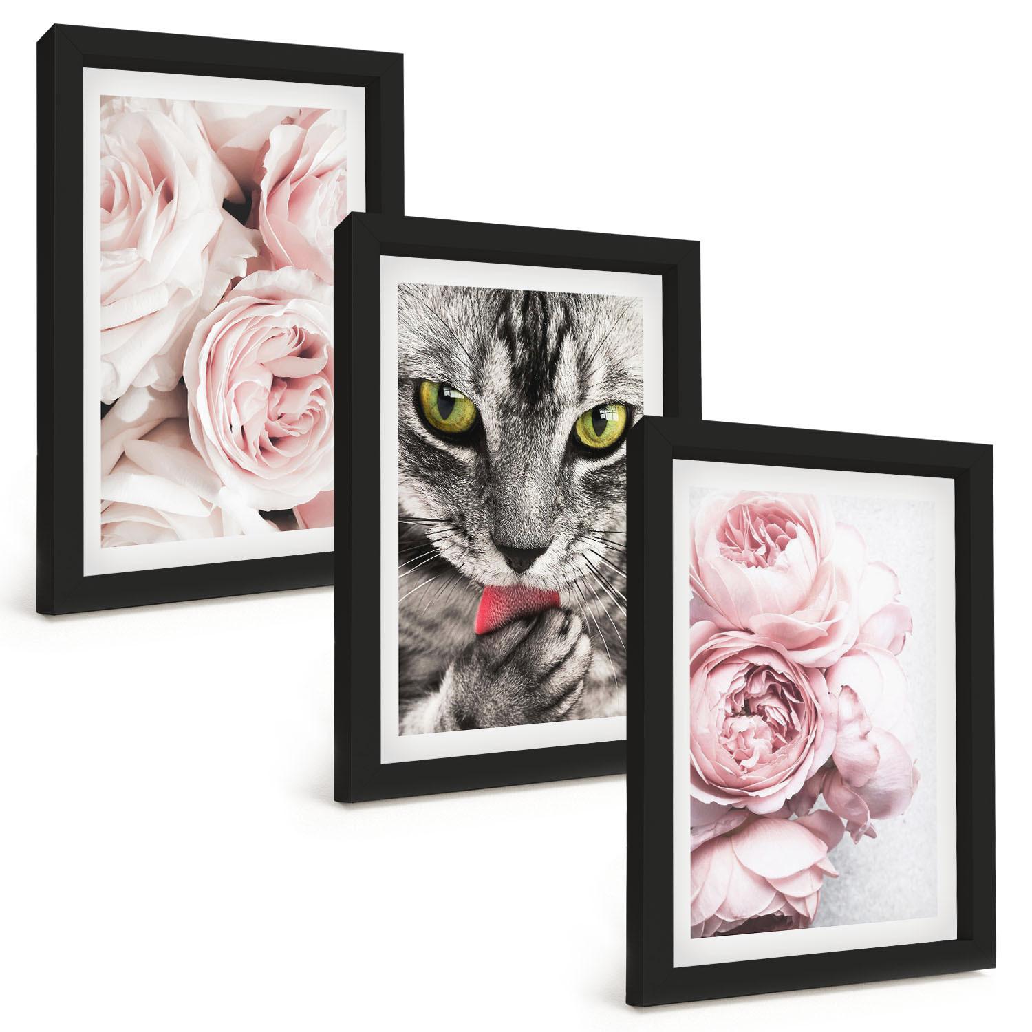 BILDER SET 3er Set - 20x30 cm Schwarzer Rahmen - Katze in rosa Blumen - Schwarz, Kunststoff (20/30cm) - TULUP