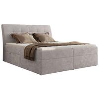 BOXBETT DAGOS 120/200 - Hellgrau Schenille glatt - H4 - Topper T25 - Hellgrau, Textil (120/200cm) - MKS