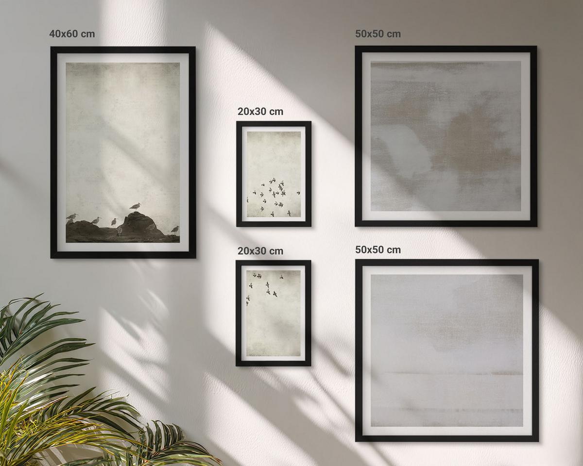BILDER SET 5er Set - 50x50 cm & 20x30 cm & 40x60 cm Schwarzer Rahmen - Minimalistische Vögel im Flug - Schwarz, Kunststoff (40/60cm) - TULUP