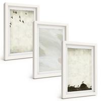 BILDER SET 3er Set - 20x30 cm Weißer Rahmen - Vögel, Steine, Pinselstriche, Verzierungen - Weiß, Kunststoff (20/30cm) - TULUP
