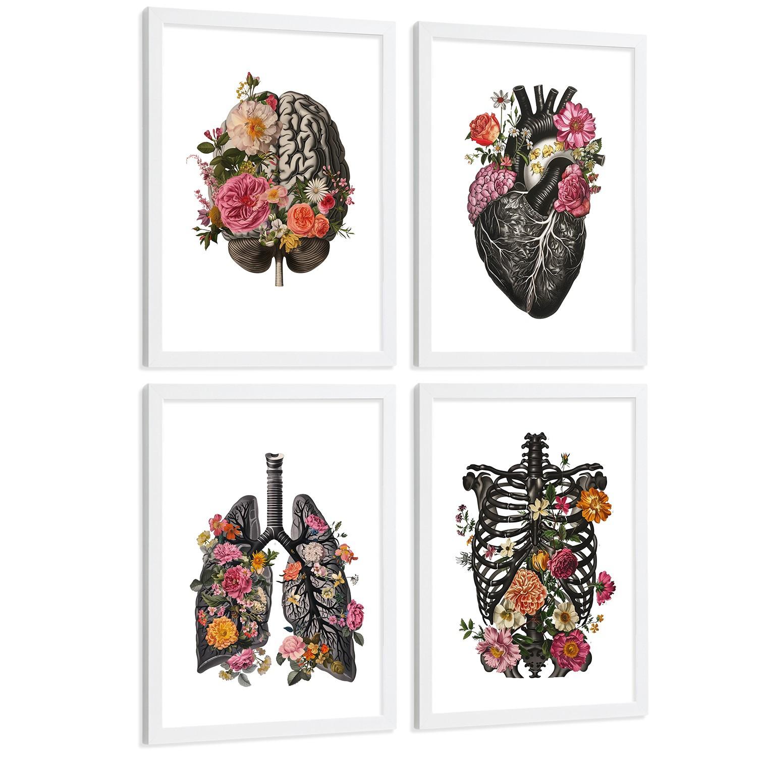 POSTER Set aus 4 Anatomie Drucke und Dekorative mit Gehirn Herz Lungen Atmungssystem Rippen Wirbelsäule Modernes Florales Größe Weißer Rahmen A4 - Weiß, Papier (21/29.7/3cm) - Nacnic