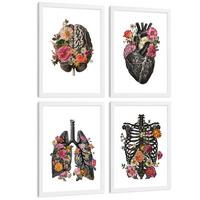 POSTER Set aus 4 Anatomie Drucke und Dekorative mit Gehirn Herz Lungen Atmungssystem Rippen Wirbelsäule Modernes Florales Größe Weißer Rahmen A4 - Weiß, Papier (21/29.7/3cm) - Nacnic