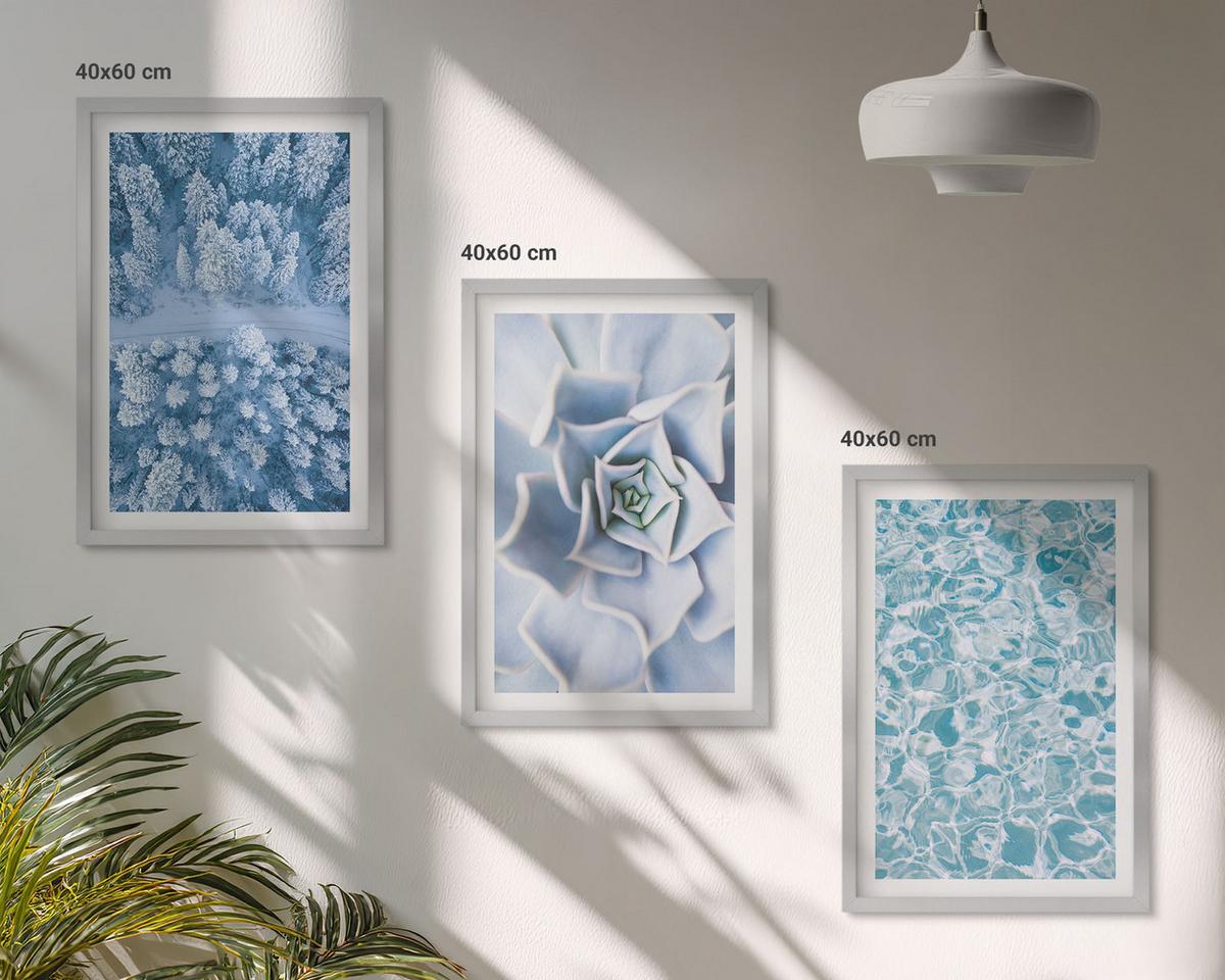 BILDER SET 3er Set - 40x60 cm Silberner Rahmen - Winterwald blaue Blume Wasser - Silberfarben, Kunststoff (40/60cm) - TULUP
