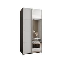 SCHWEBETÜRENSCHRANK 245,5/100/64 2-türig - Silberfarben/Schwarz, Holz/Metall (100/245/64cm) - Abiks Möbel