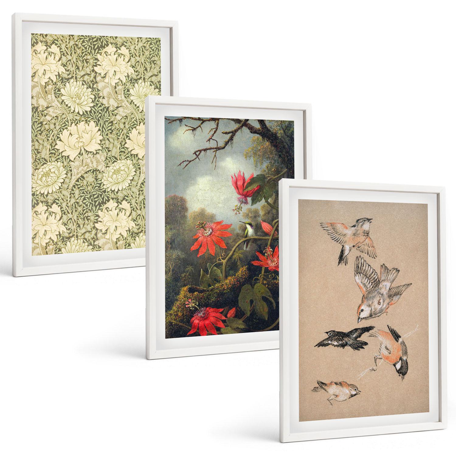 BILDER SET 3er Set - 40x60 cm Weißer Rahmen - Blumen, Vögel, Natur - Weiß, Kunststoff (40/60cm) - TULUP