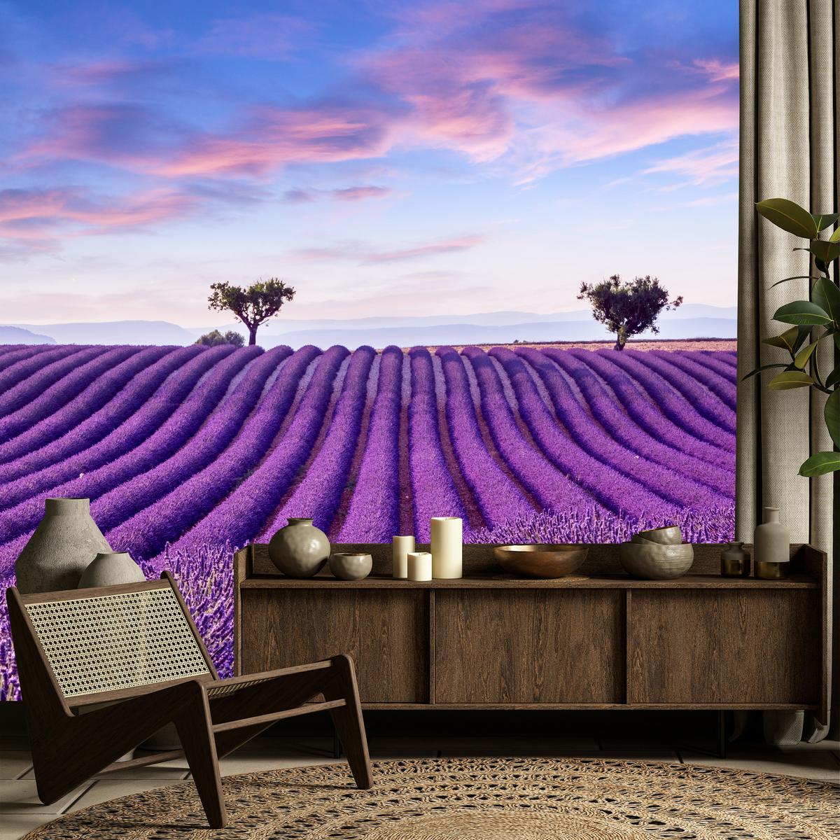 FOTOTAPETE für Küche Lavendelfeld Lila Natur Sträucher 400x280 - Blau/Violett, Papier (400/280cm) - Muralo