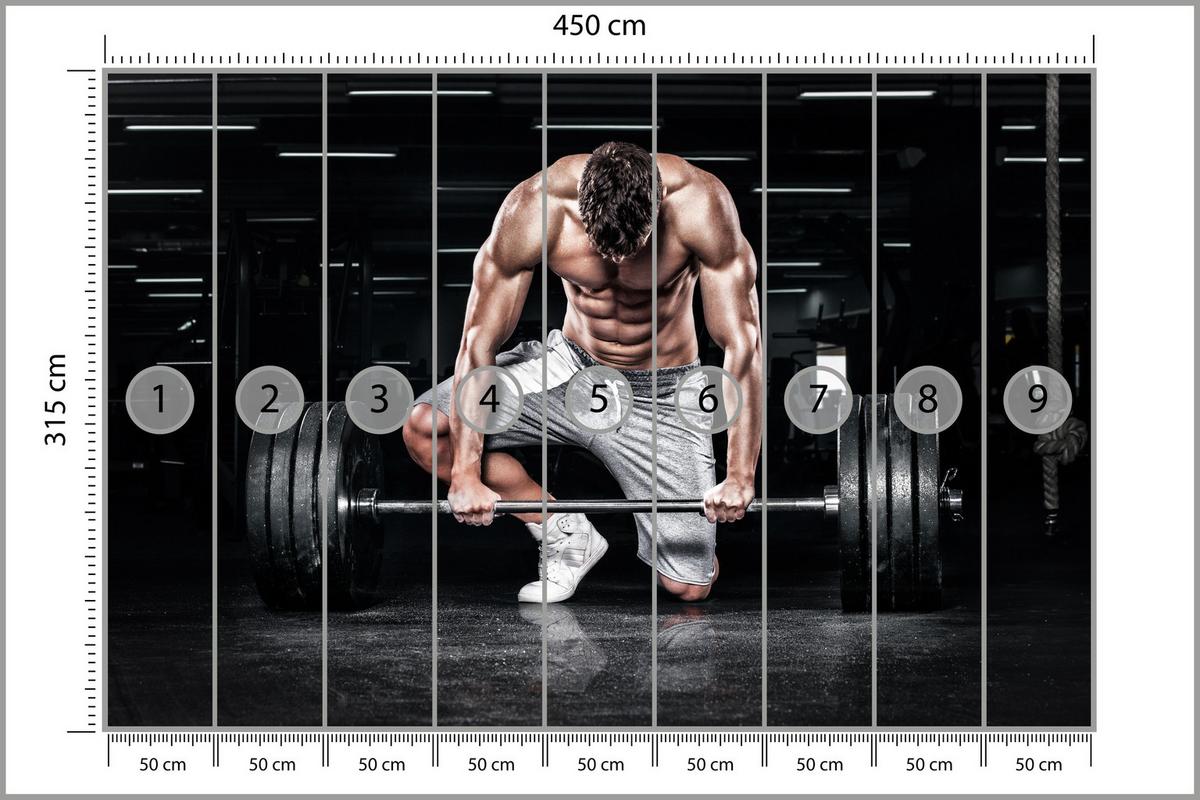 FOTOTAPETE Muskulöser Mann Fitnessstudio Training Sport 450x315 - Beige/Schwarz, Papier (450/315cm) - Muralo