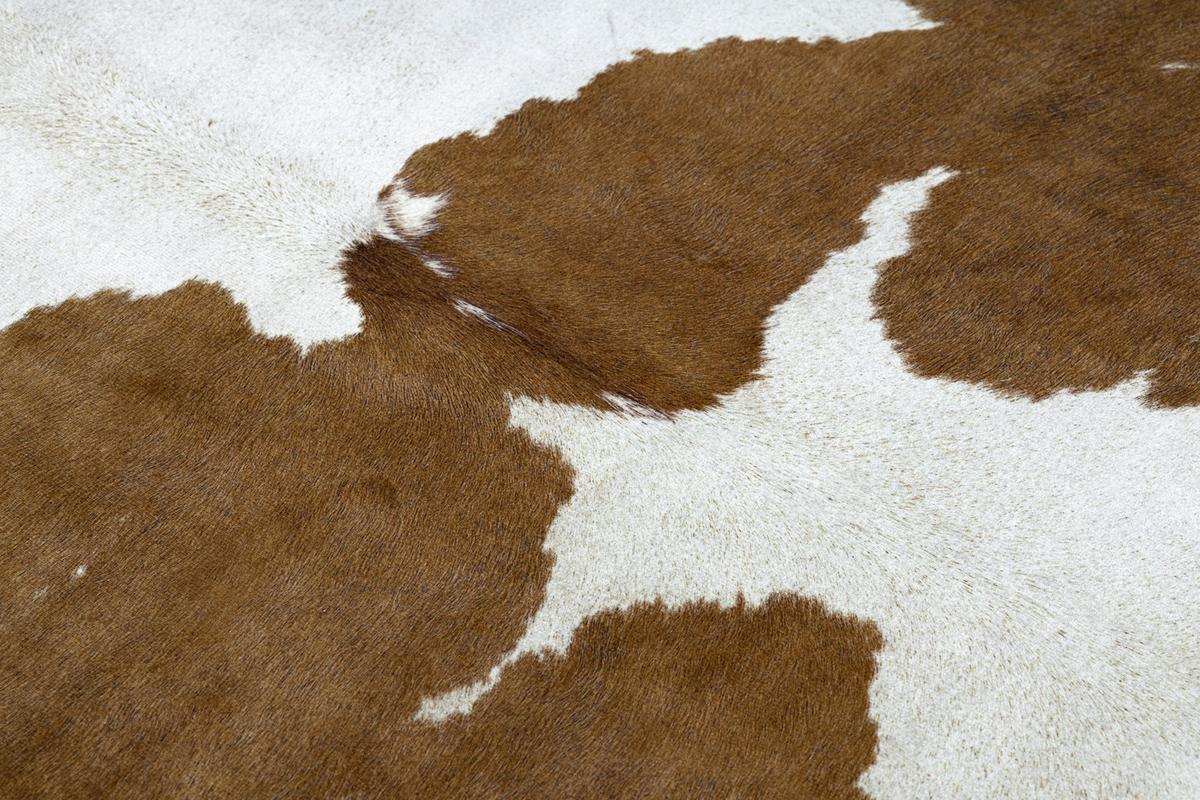 TEPPICH Künstliches Rindsleder 100/150 cm - Weiß, Textil (100/150cm) - rugsX