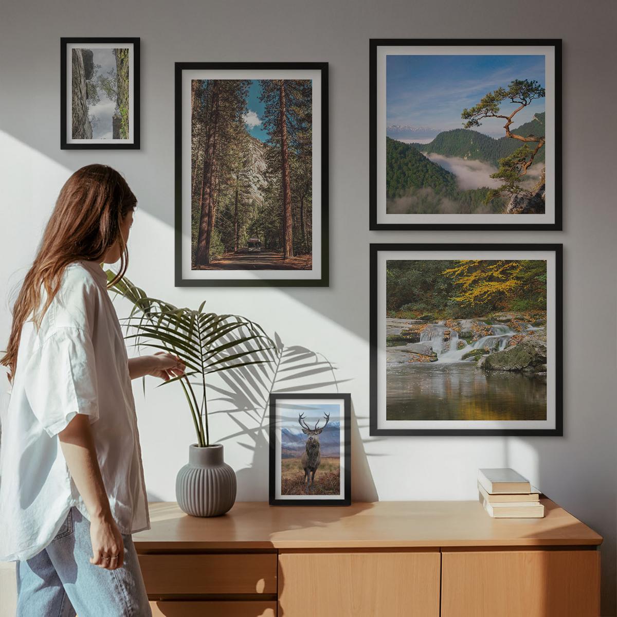 BILDER SET 5er Set - 50x50 cm & 20x30 cm & 40x60 cm Schwarzer Rahmen - Wasserfall Wald Berge Hirsch Natur - Schwarz, Kunststoff (40/60cm) - TULUP