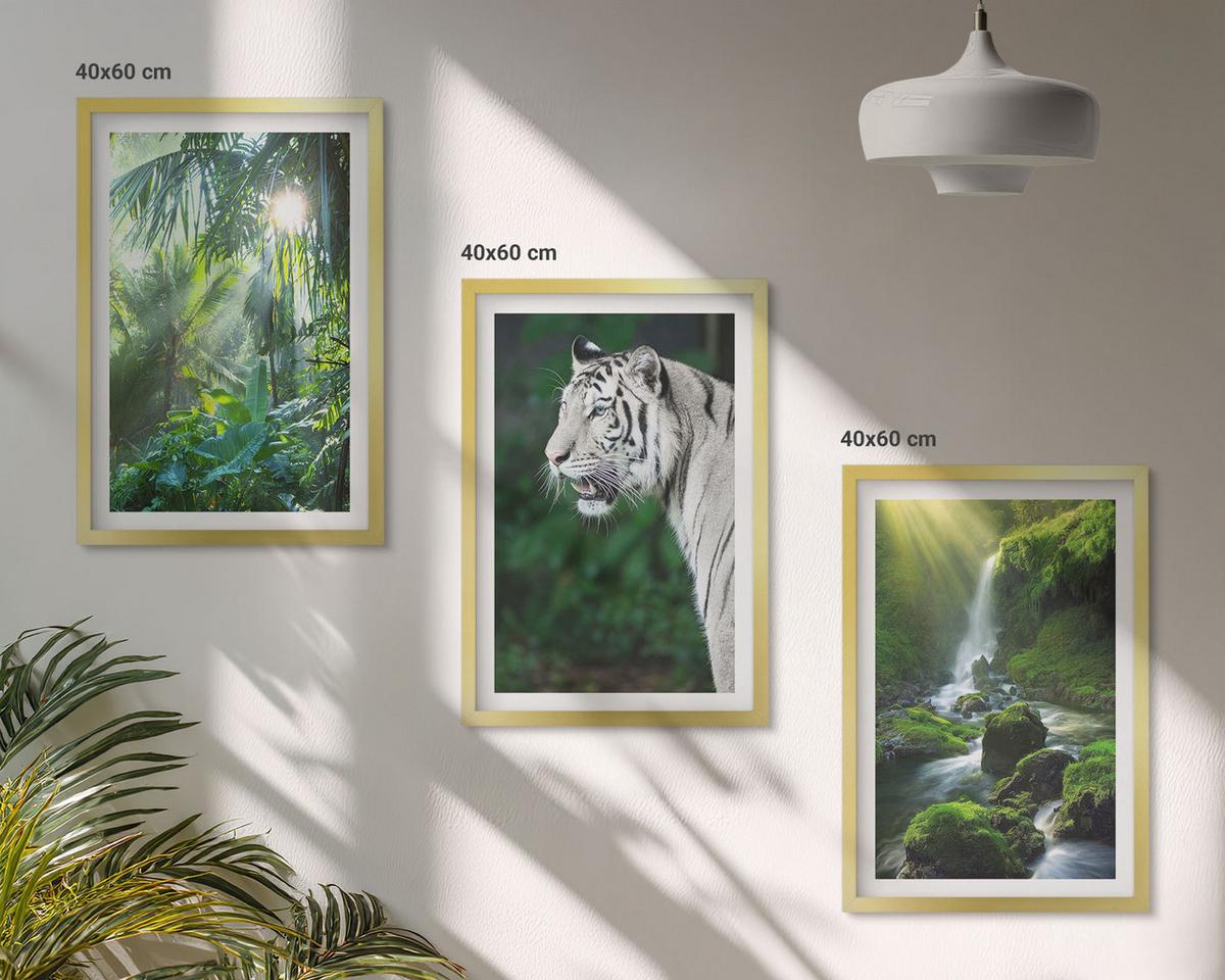 BILDER SET 3er Set - 40x60 cm Goldrahmen - Dschungeltigerwasserfall - Goldfarben, Kunststoff (40/60cm) - TULUP