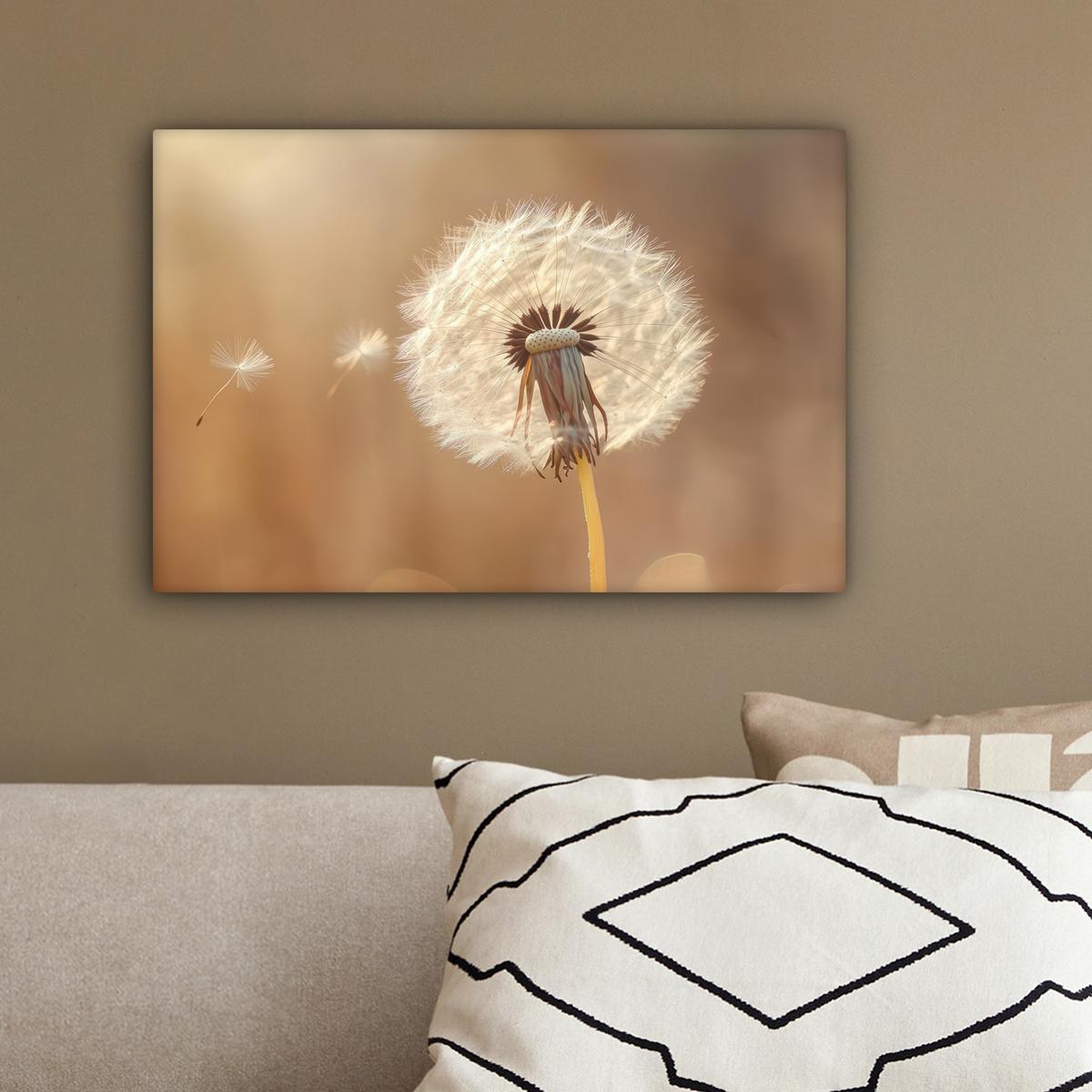 LEINWANDBILD Löwenzahn - Beige - Natur - Blume Deko Schlafzimmer 30x20 cm - Hellbraun, Textil (30/20cm) - MuchoWow