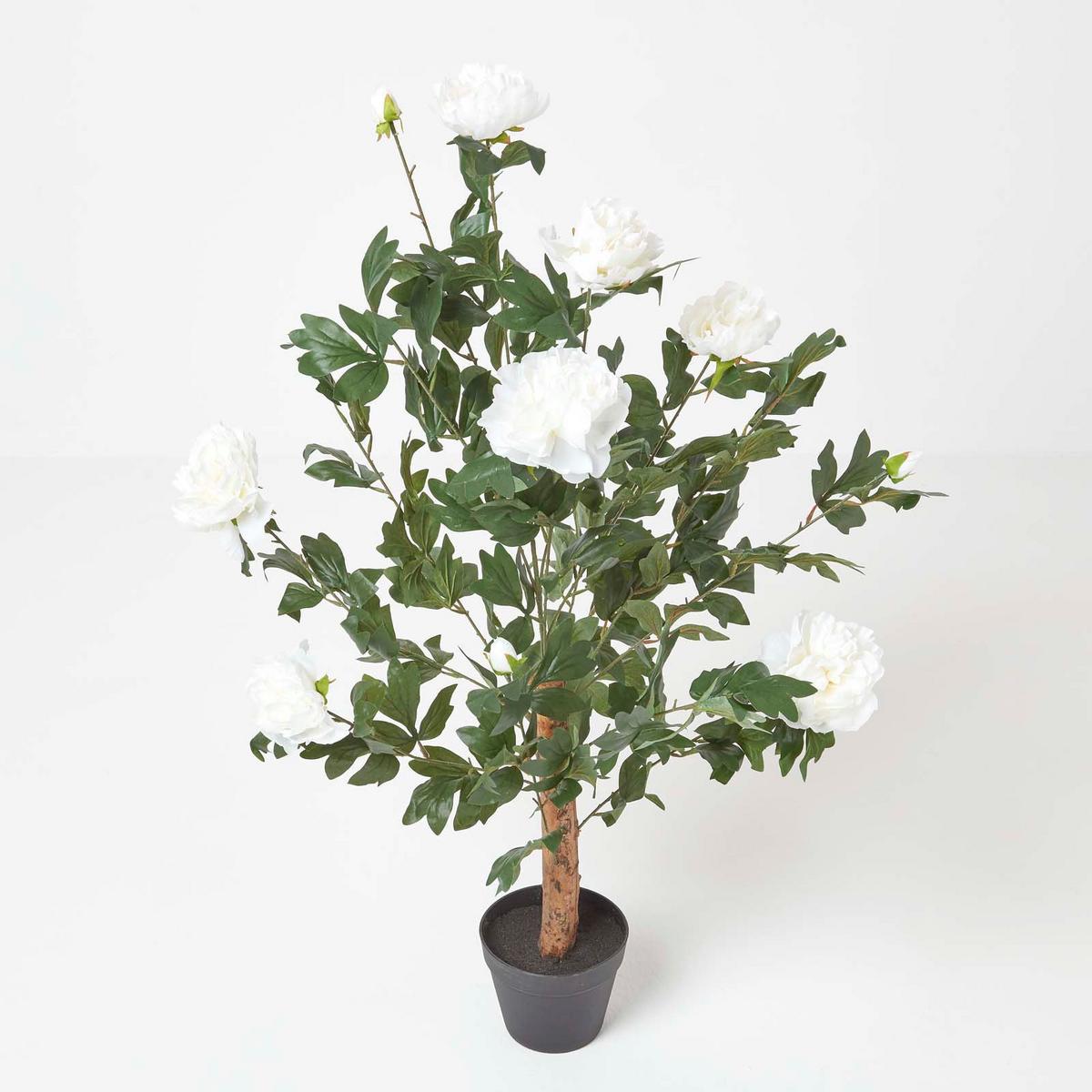 KUNSTPFLANZE Baumpfingstrose creme, 100 cm - Creme, Kunststoff (100cm) - Homescapes