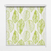 INNENROLLO - Fensterrollo - Rollo - 90x140 cm - Limettenblätter - Grün, Kunststoff (90/140/0.5cm) - TULUP