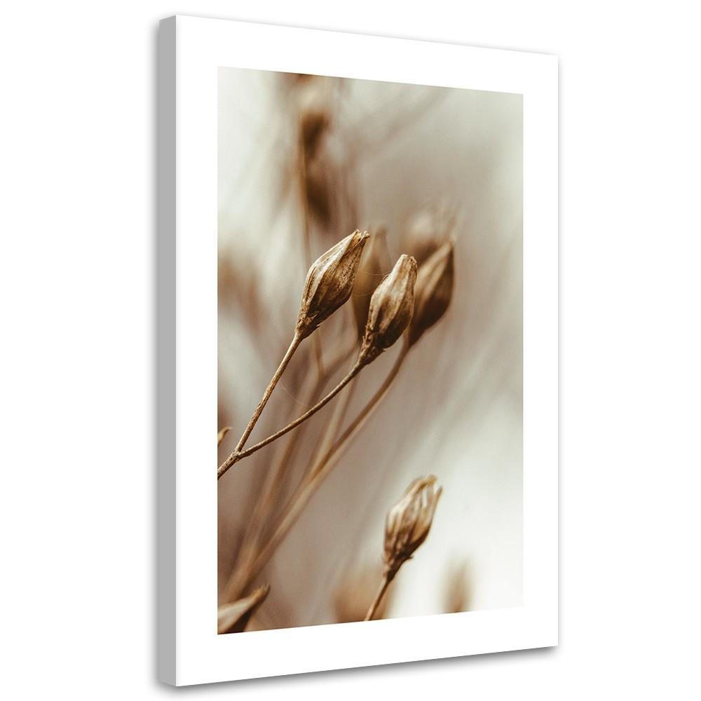 Feeby WANDBILD verwelkte blumenblätter online kaufen ➤ mömax