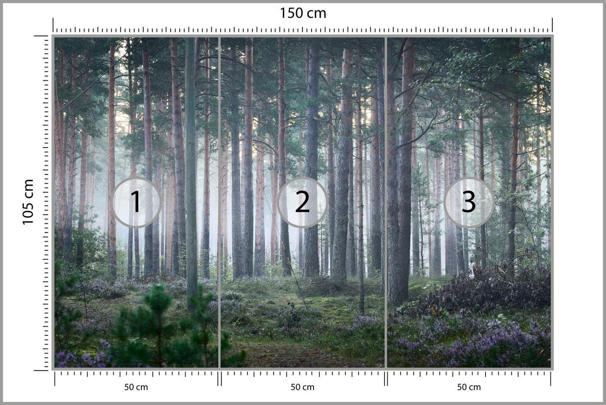 FOTOTAPETE für Wohnzimmer Nebelwald mit Bäumen Moos Grün 150x105 - Grau/Grün, Papier (150/105cm) - Muralo