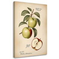 KUNSTDRUCK Beige 80/120 cm - Beige, Textil (80/120cm) - KUNSTLOFT