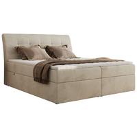 BOXBETT DAGOS 200/200 - Beige Velvet - H3 - Topper Visco - Beige, Textil (200/200cm) - MKS