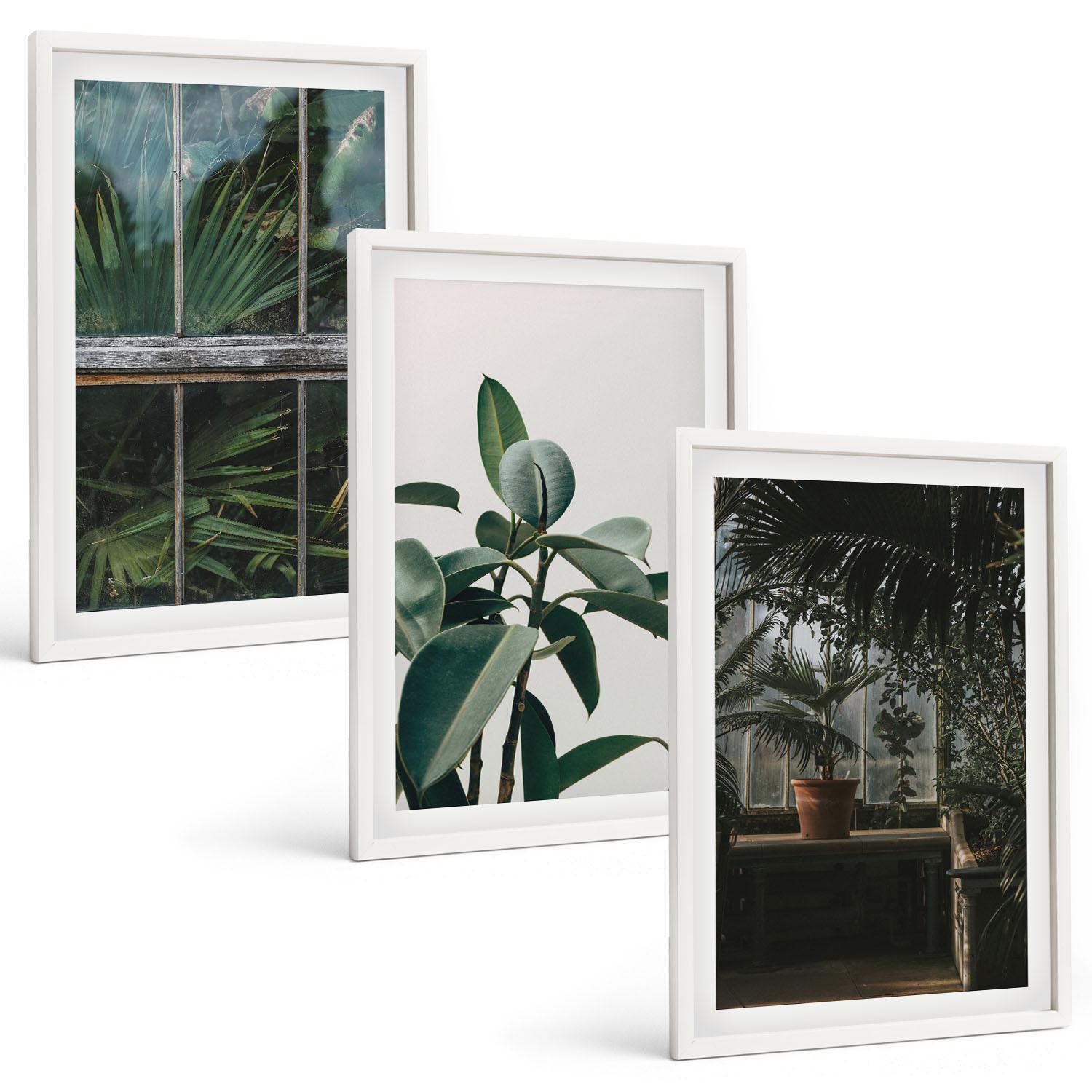 BILDER SET 3er Set - 40x60 cm Weißer Rahmen - Grüne Blätter an der Fensterpflanze - Weiß, Kunststoff (40/60cm) - TULUP