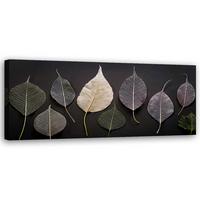 WANDBILD minimalismus hinterlässt glamourpflanzen - Grau, Textil (90/30cm) - Feeby
