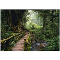 FOTOTAPETE Wald 3D Effekt Natur Wohnzimmer 250x175 - Multicolor, Papier (250/175cm) - Wallarena