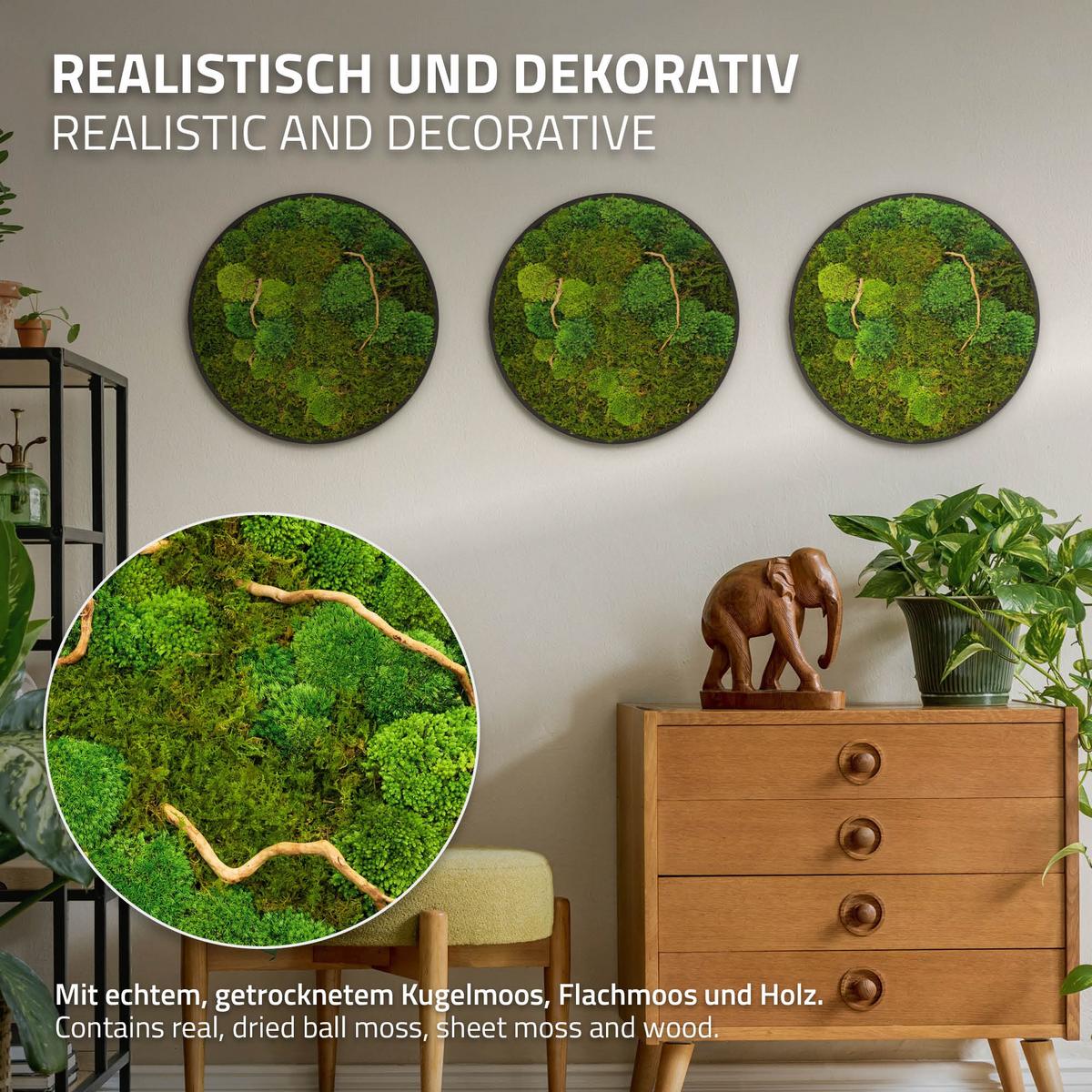 MOOSBILD Rund Ø 40 cm Mooswand Indoor mit echtem Kugelmoos-Flachmoos-Mix und Ästen Holzrahmen Grün - Dunkelgrün, Naturmaterialien (40/40/3cm) - ECD-Germany
