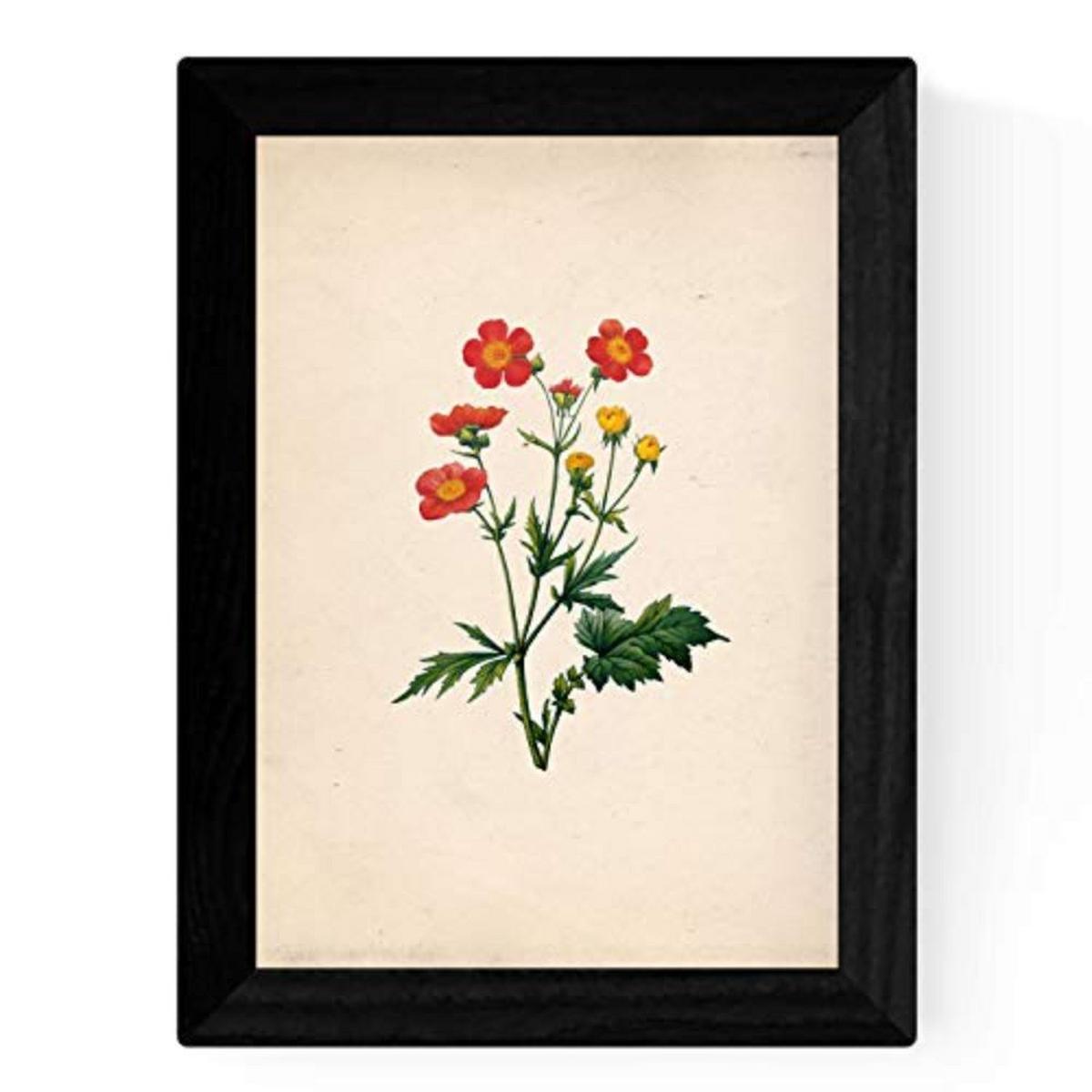 POSTER Set mit 4 Botanischen Stils Sensitive A3 Rahmenlos - Klar, Papier (29.7/3cm) - Nacnic